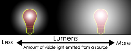 Lumens Vivarium Definition