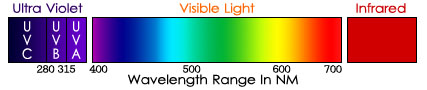 Vivarium UVB Light Chart