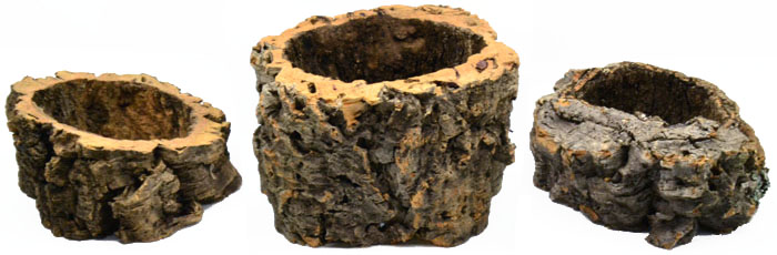 Cork Stump Planter