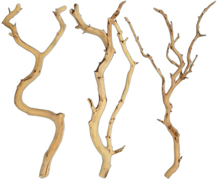 Manzanita Ghost Wood For Terrariums & Vivariums