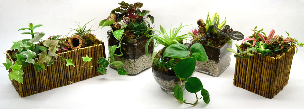 Cool Horticultural Containers For Houseplants