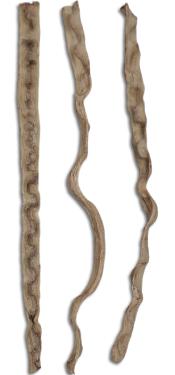 Jungle Vine Liana Monkey Ladder Vine For Terrariums