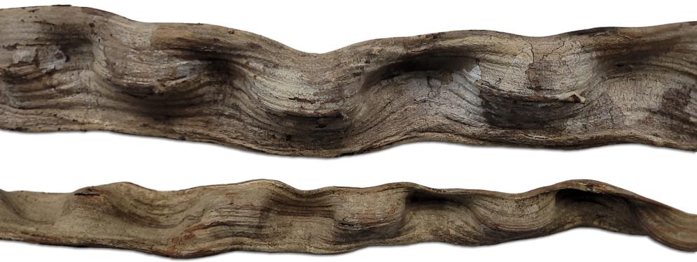 Wavy Liana Vines For Vivariums - Animal Safe