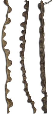 Split Milled Jungle Vine Liana Monkey Ladder Vine For Terrariums