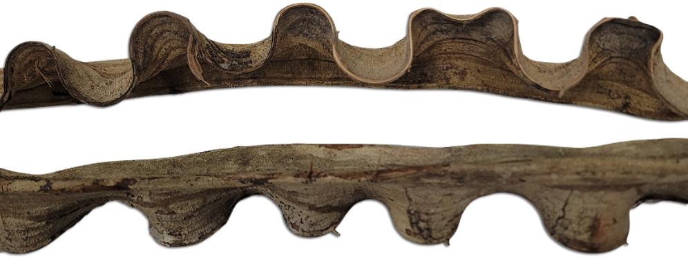 Split Milled Wavy Liana Vines For Vivariums - Animal Safe