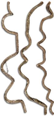 Twisted Crazy Vines For Vivariums Reptile Safe
