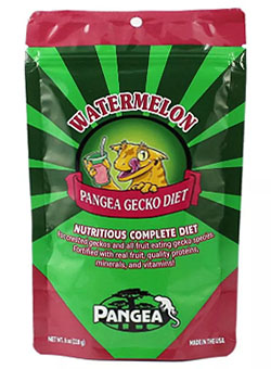 Pangea Gecko Diet: Watermelon