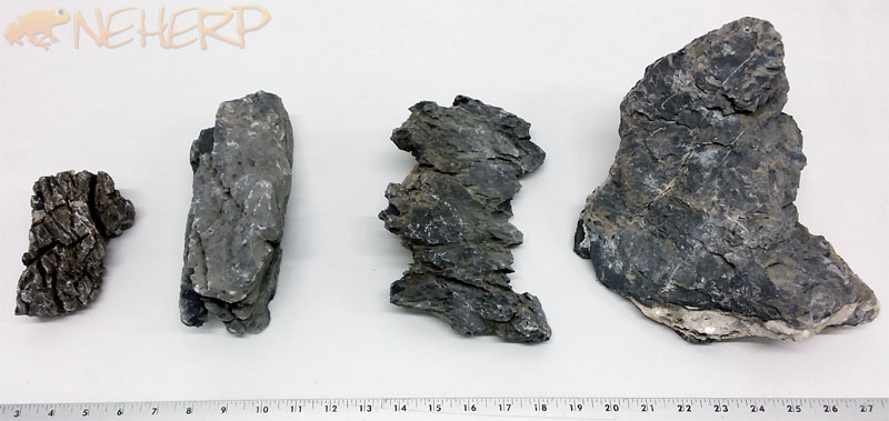 Vivarium Rocks: Ash For Bioactive Terrariums