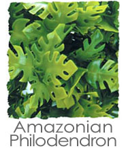 Best Artificial Plant For Bioactive Terrariums - Zoo Med Natural Bush For Terrariums