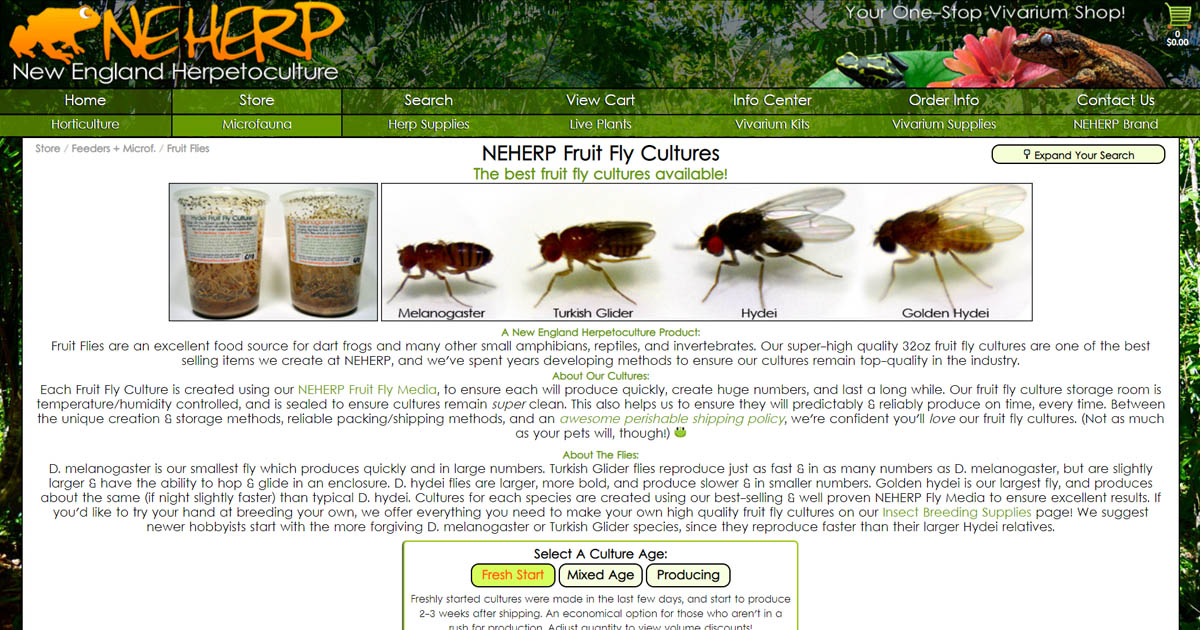FrogDaddy Premium Fruit Fly Media (D. melanogaster)