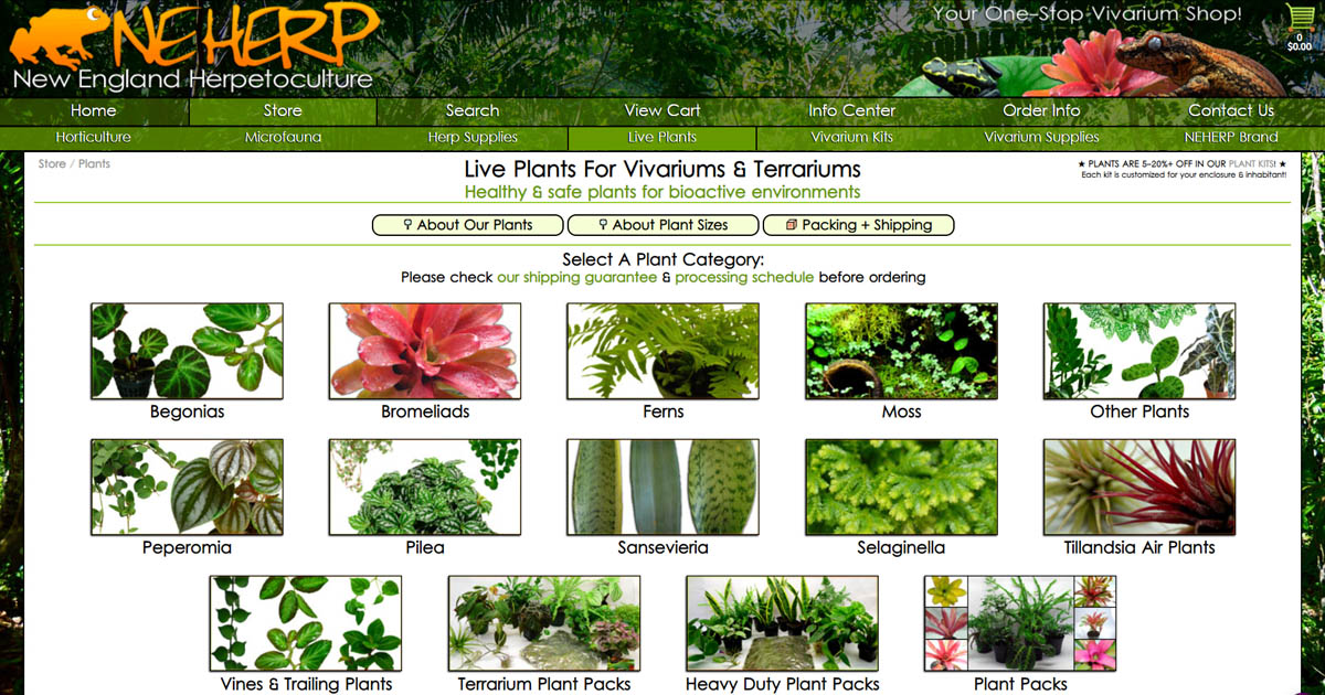 Live Moss For Terrariums & Vivariums  NEHERP - Your One Stop Vivarium Shop!