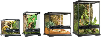 Glass Terrariums And Aquariums For Sale In CT Pickup
