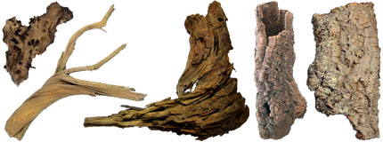 Hand Selected Wood Decor For Terrariums In CT