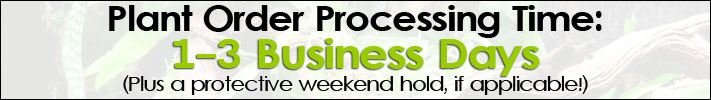 Plant Order Processing Time: 1-3 Days