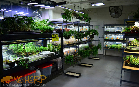 Terrarium Plant Specialty Store